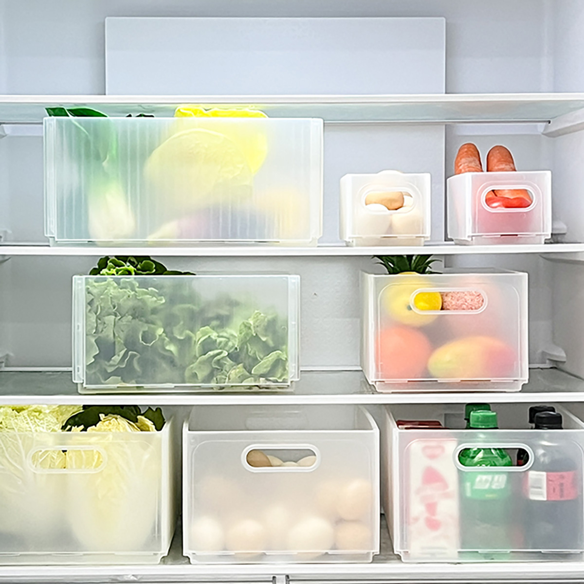 WORTHBUY プラスチック製折りたたみ式冷蔵庫収納ボック - Food Storage Without Plastic のレビューと価格