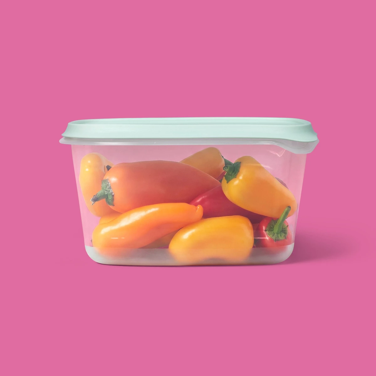 2026年新発売 2個パック 48オンス 大型長方形食品保存 - Food Storage Large Plastic Containers のレビューと価格